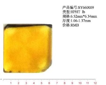 SY660009